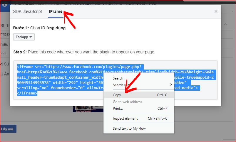 Hướng dẫn chèn Fanpage vào website WordPress nhanh nhất