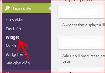 Hướng dẫn chèn Fanpage vào website WordPress nhanh nhất