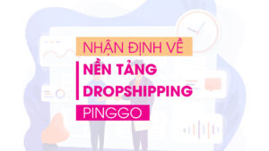 Nhận định về nền tảng Dropshipping PingGo