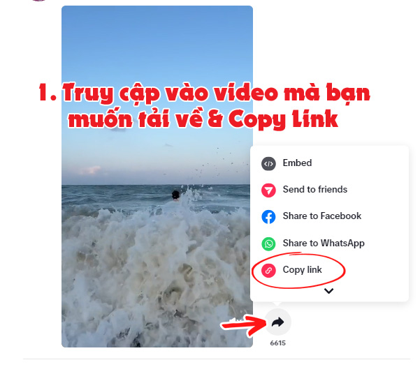 Cách tải video TikTok không có logo trên máy tính